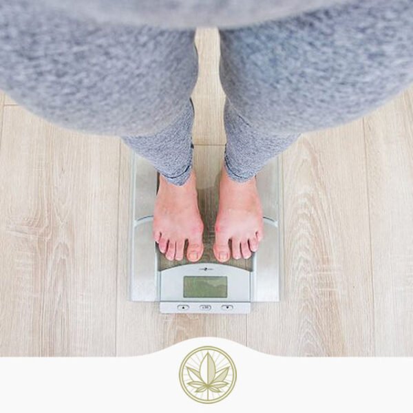 CBD for Weight Management