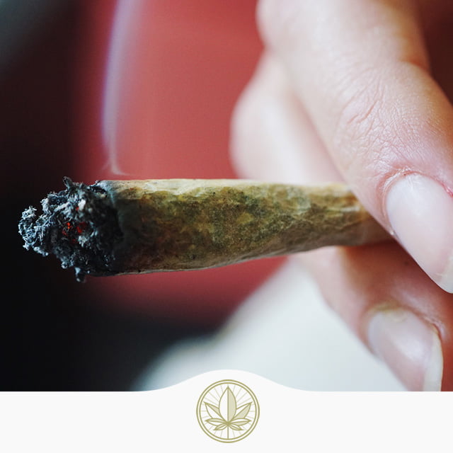 Joints have long been a favourite method of cannabis consumption and it’s easy to understand why. Joints are easily shareable, ready to travel, and compact. But before you can smoke a joint, one has to roll it, and every joint begins with a rolling paper.