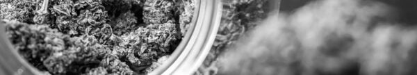 Cannabis Dispensary